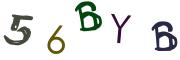 Beeld-CAPTCHA