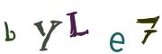 Beeld-CAPTCHA