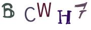 Beeld-CAPTCHA