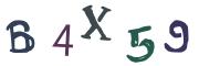 Beeld-CAPTCHA
