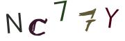 Beeld-CAPTCHA