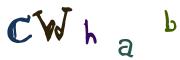 Beeld-CAPTCHA