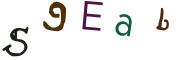 Beeld-CAPTCHA