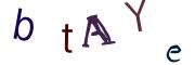 Beeld-CAPTCHA