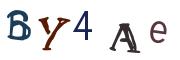 Beeld-CAPTCHA