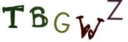 Beeld-CAPTCHA