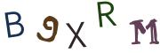 Beeld-CAPTCHA