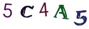 Beeld-CAPTCHA
