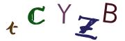 Beeld-CAPTCHA