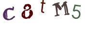 Imagine CAPTCHA