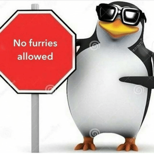 No Furries Allowed