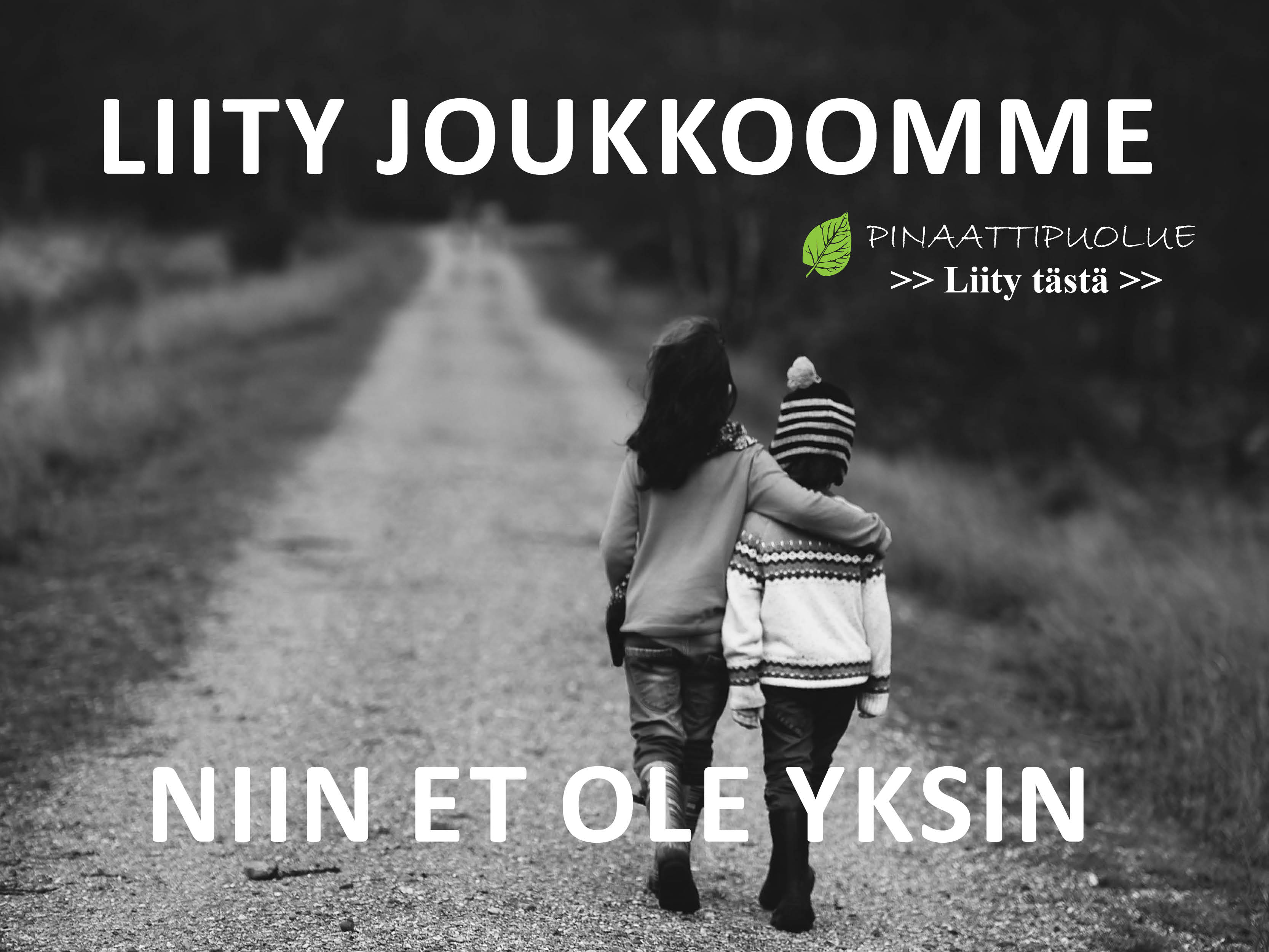 Liity puolueeseen