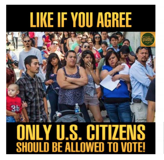citizens vote