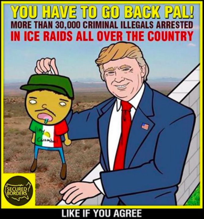 You have to go back pal! More than 30,000 criminal illegals arrested in ICE raids all over the country. Like if you agree.