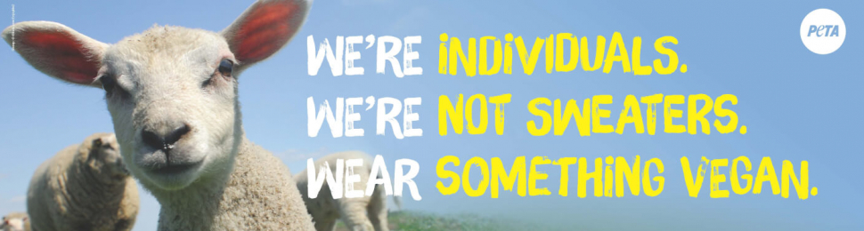 Billboard of cute lamb with text : we’re individuals, we’re not sweaters, buy something vegan.”