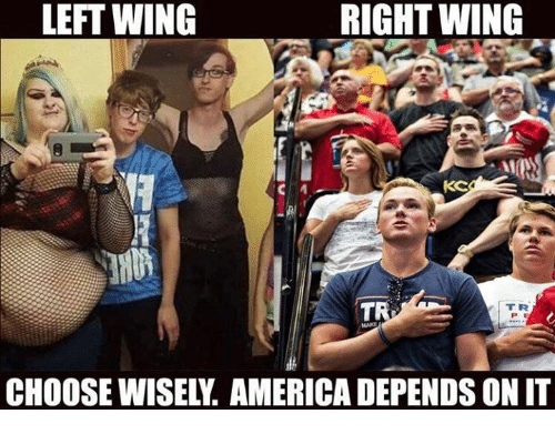 Right Wing vs. Left Wing Meme in Support of Right Wing and Trump 