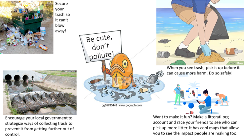 Be cute, Don't Pollute! Pick up trash, use litterati.org, get your local gov't involved, and secure your trash.