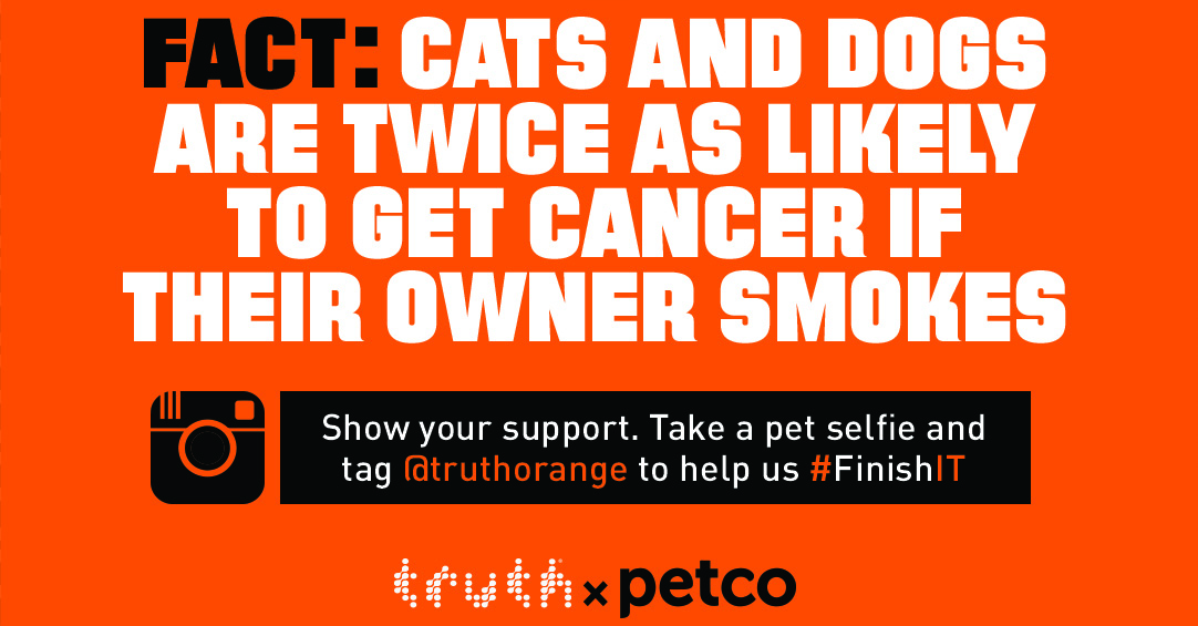 FACT: CATS AND DOGS ARE TWICE AS LIKLEY TO GET CANCER IF THEIR OWNER SMOKES
