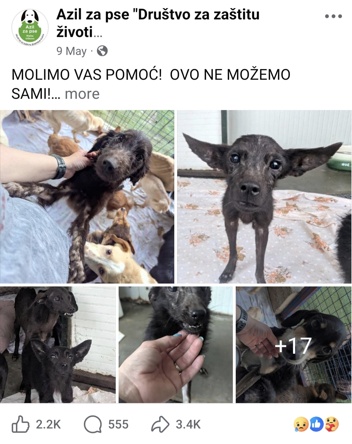 Facebook page Azil za pse "Društvo za zaštitu životinja Rijeka" posted an appeal to get help for 'Učka case' dogs.