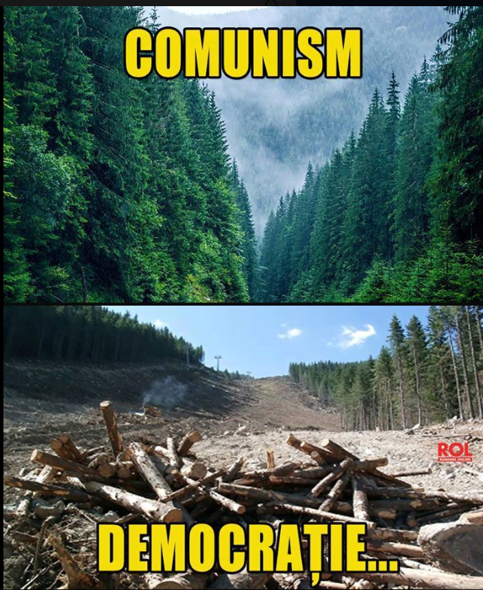 Doua imagini alăturate arată 1) o pădure verde, plină de copaci alături de titlul comunism și 2) o pădure defrișată alături de titlul democrație