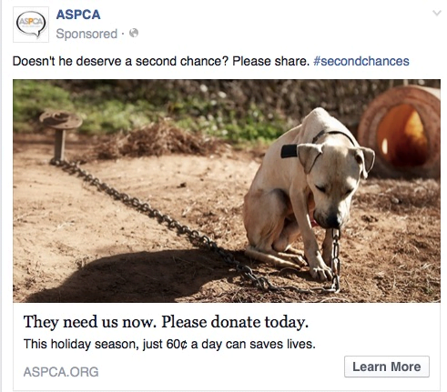 Dogs need #secondchances. Donate!