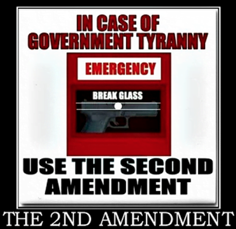 Second Amendment Emergency Meme