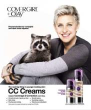 This an advertisement for Covergirl's CC Creams. Ellen DeGeneres is shown holding a raccoon. Benefits of using the CC Cream is also included.
