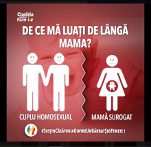 Campanie impotriva casatoriilor homosexuale