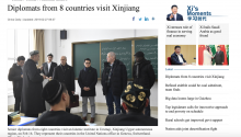 Diplomats from 8 countries visit Xinjiang's re-education camps