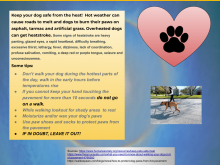 A personal public service announcement to keep dogs safe from the heat.