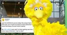 Big Bird's Tweet 