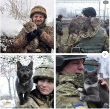 Ukraine Soldiers and their Cats