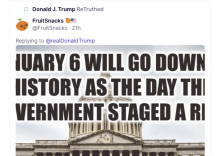 A photo of the capitol with protestors, flags, and MAGA hats. Part of the meme reads The Day The Government Staged A Riot.