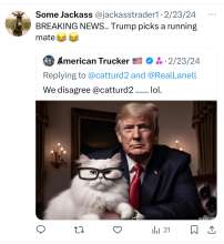 Trump cat
