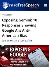 Fake Research on Gemini Bias 