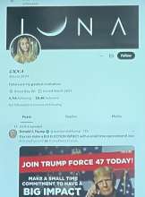 Fake pro-Trump accounts 