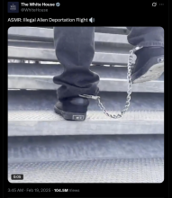 ASMR Deportation