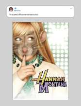 Meme about Hantavirus as Hannah Montana virus, Hannah Montana with a rat face.