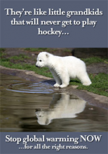 Polar Bear Hockey