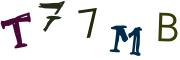 Bild-CAPTCHA